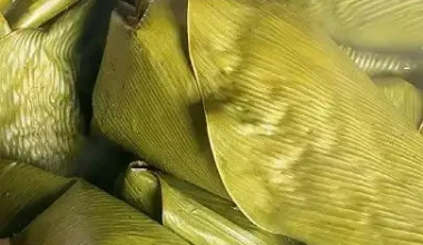 Moi-moi wrap