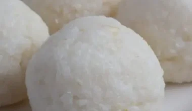 Rice Swallow